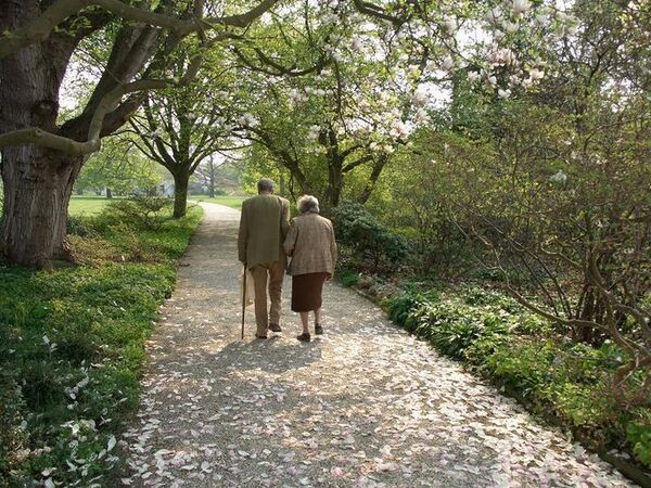 Двама възрастни хора вървят спокойно през зелена горска пътека, осветена от утринна светлина